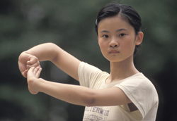 What's club fei wu 中国武術演武会クラブ飛舞とは? What's club fei wu 中国武術演武会クラブ飛舞とは?